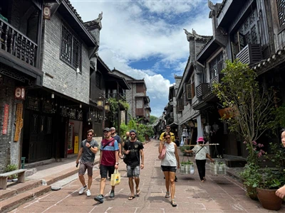 Vetenskapliga överväganden för val av växthusglasmaterial